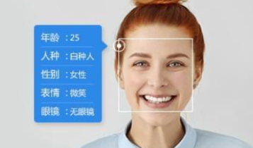 人臉識別私有化部署多少錢？