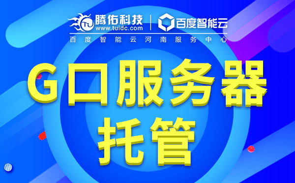 河南G口大帶寬租用哪家好？